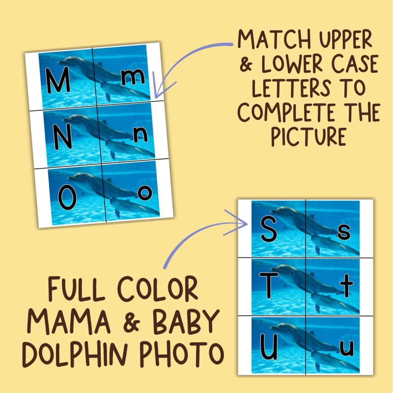 Dolphin Alphabet Matching Game Upper and Lower Case Letter Cards - Image 3