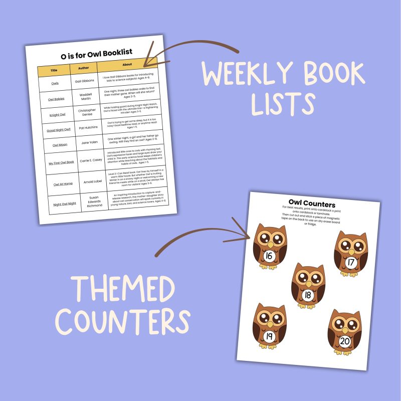 Preschool Bird Bundle Pre-K Learning Pack 6 Week Lessons Kindergarten Worksheets - Image 3