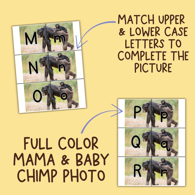 Chimpanzee Alphabet Matching Game Upper and Lower Case Letter Cards - Image 3