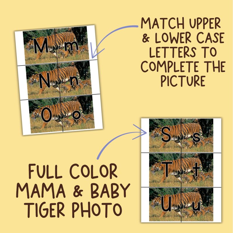 Tiger Alphabet Match Game Upper and Lower Case Letter Cards - Image 3