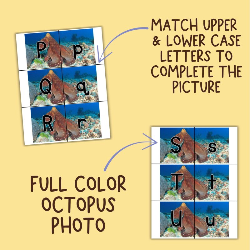 Octopus Alphabet Match Game Upper and Lower Case Letter Cards - Image 3