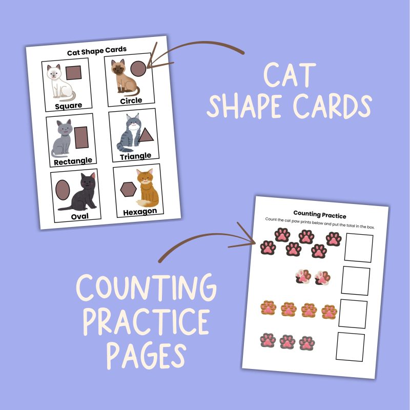 C is for Cat Preschool Activity Sheets Pre K Kindergarten Cat Theme Worksheets Learning Pack - Image 3