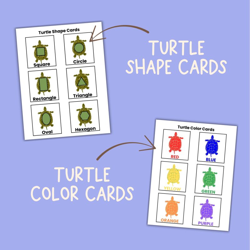 T is for Turtle Preschool Activity Sheets Bundle Letter T Turtle Unit Study Kindergarten Pre K - Image 3