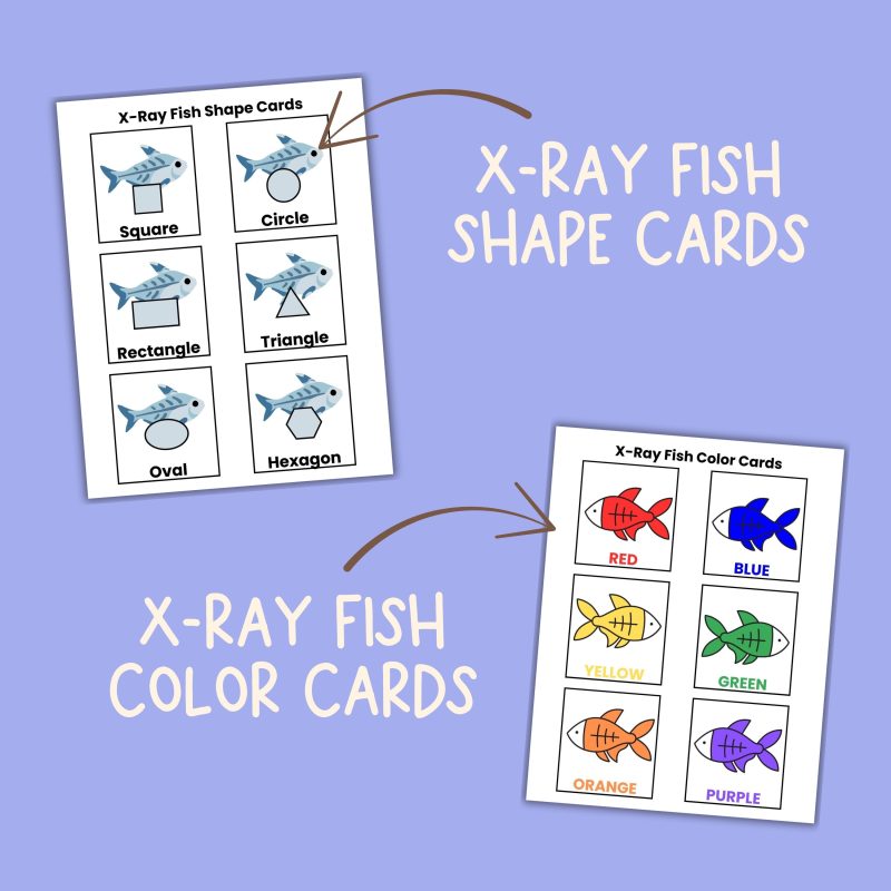 X is for X-Ray Fish Preschool Kindergarten Activity Sheets Bundle Letter X Week - Image 3