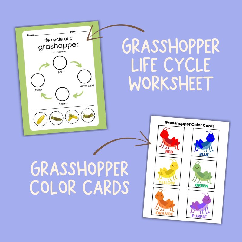 G is for Grasshopper Preschool Activity Bundle - Image 3