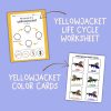 Y is for Yellowjacket Preschool Activity Sheet Bundle Pre-K Kindergarten Yellow Jacket Wasp Activity - Image 3