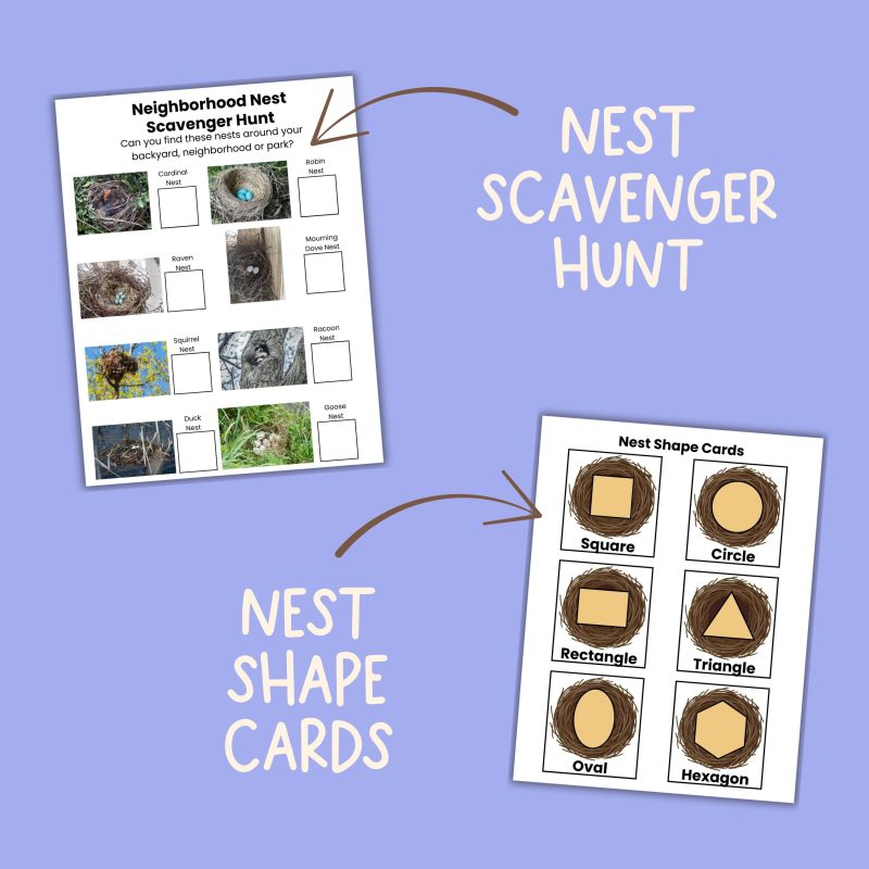 N is for Nest Preschool Activity Sheet Bundle Pre-K -Kindergarten Homeschool Curriculum - Image 3