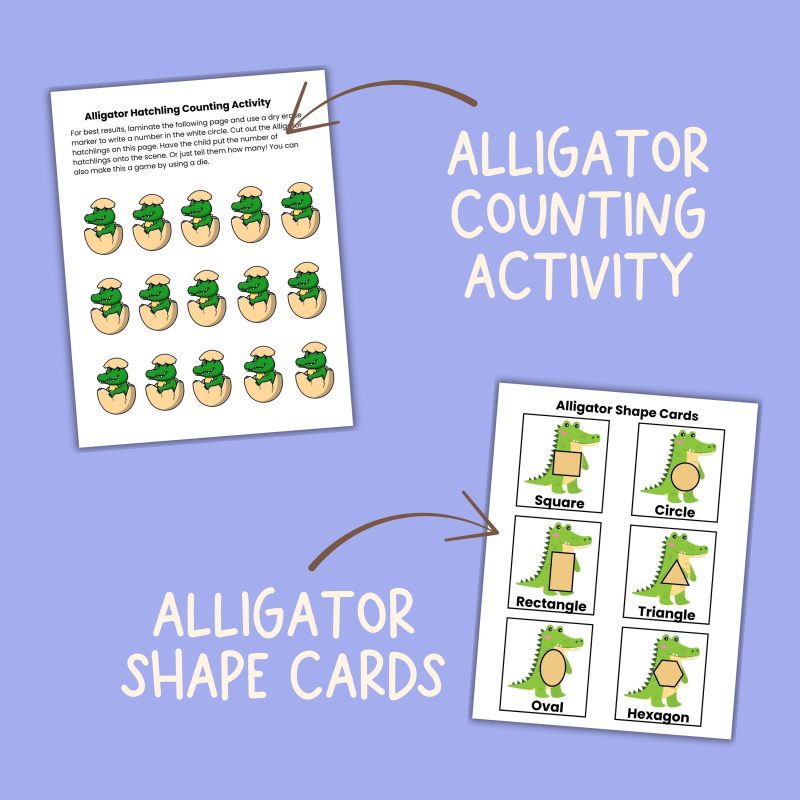 Alligator Preschool Activity Pack A is for Alligator Letter A Week Lessons - Image 3