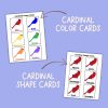C is for Cardinal Preschool Worksheets Pre K Kindergarten Activity Sheets Bird Life Cycle - Image 3