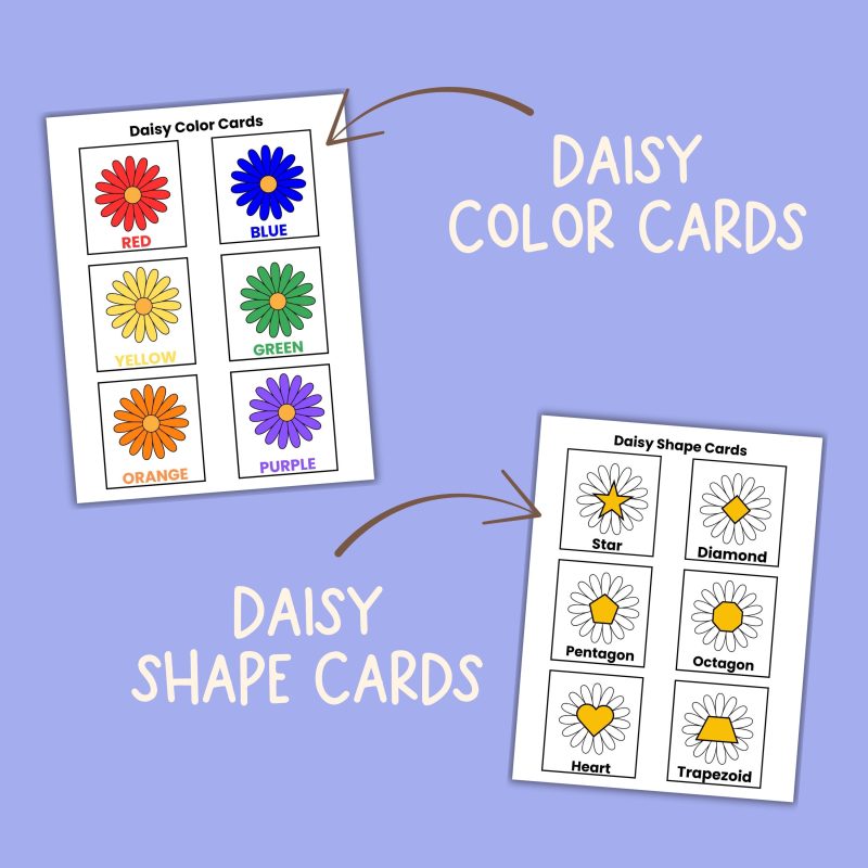 D is for Daisy Preschool Learning Pack Garden Flowers - Image 3