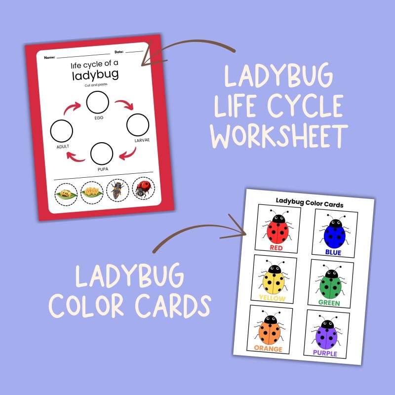 L is for Ladybug Preschool Activity Bundle Kindergarten Worksheet Bundle - Image 3