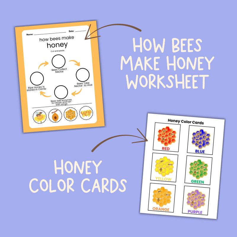 H is for Honey Preschool Activity Bundle Honey Bee Worksheets Kindergarten Pre K - Image 3