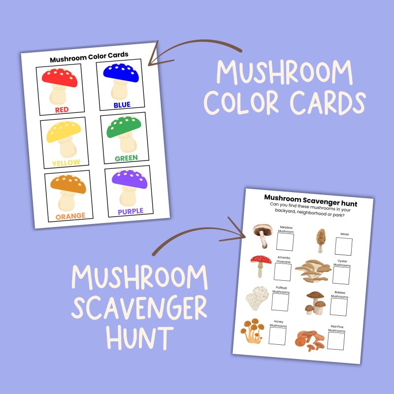 M is for Mushroom Preschool Activity Bundle Pre K- Kindergarten Worksheets - Image 3