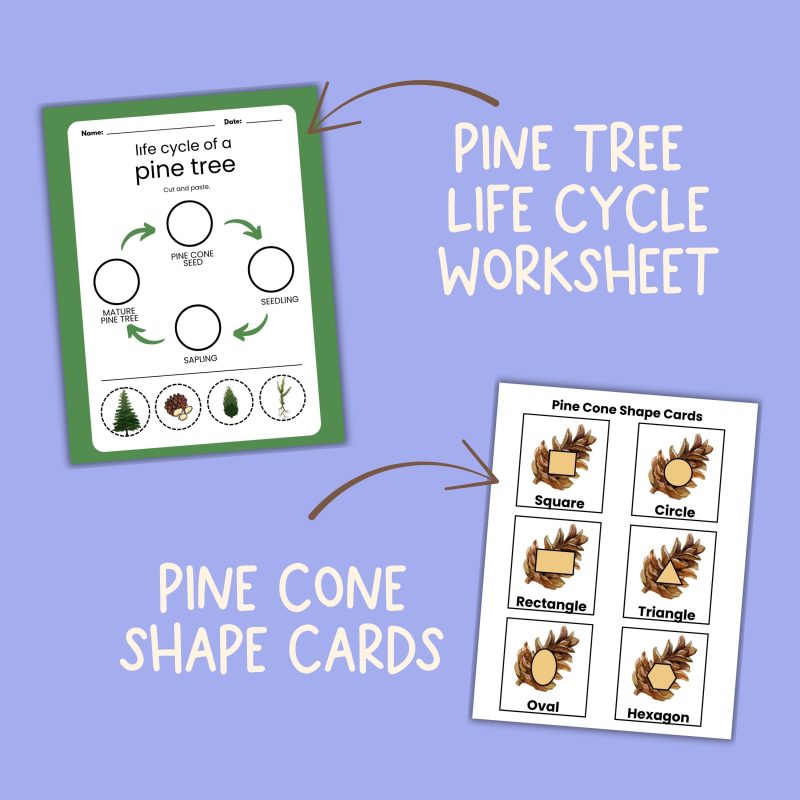 P is for Pine Preschool Kindergarten Activity Sheet Bundle Pine Tree Unit - Image 3
