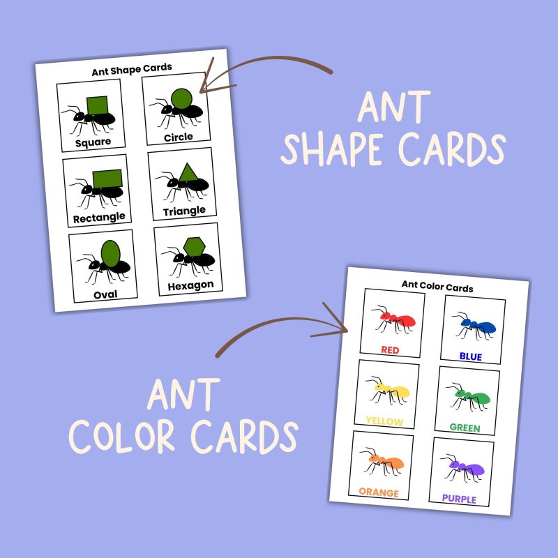 A is for Ant Preschool Worksheets Letter A Week Pre K Kindergarten Ant Activity Sheets - Image 3