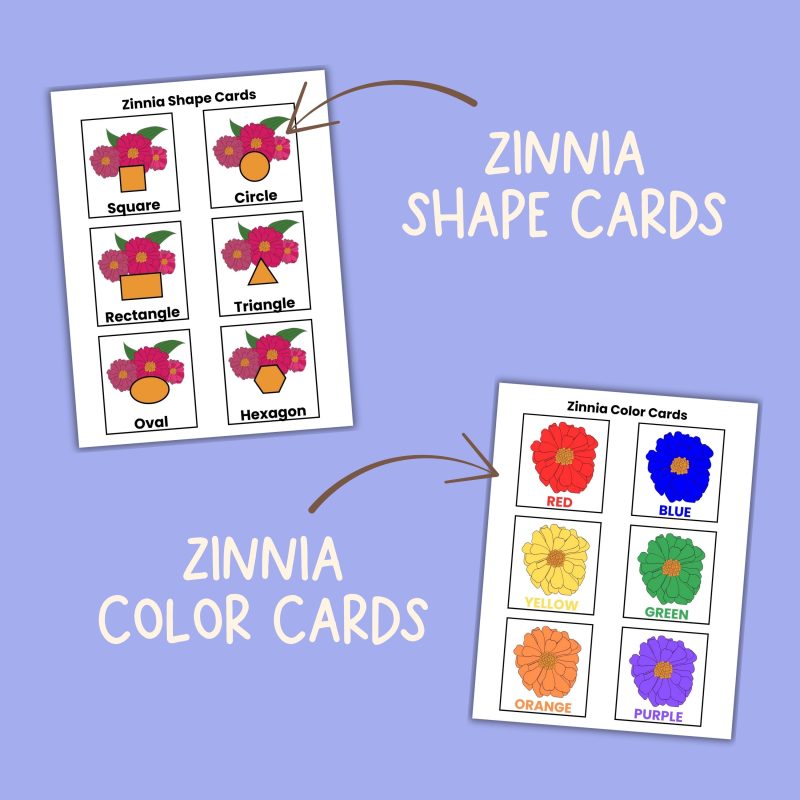 Z is for Zinnia Preschool Kindergarten Activity Sheets Bundle Z Week - Image 3
