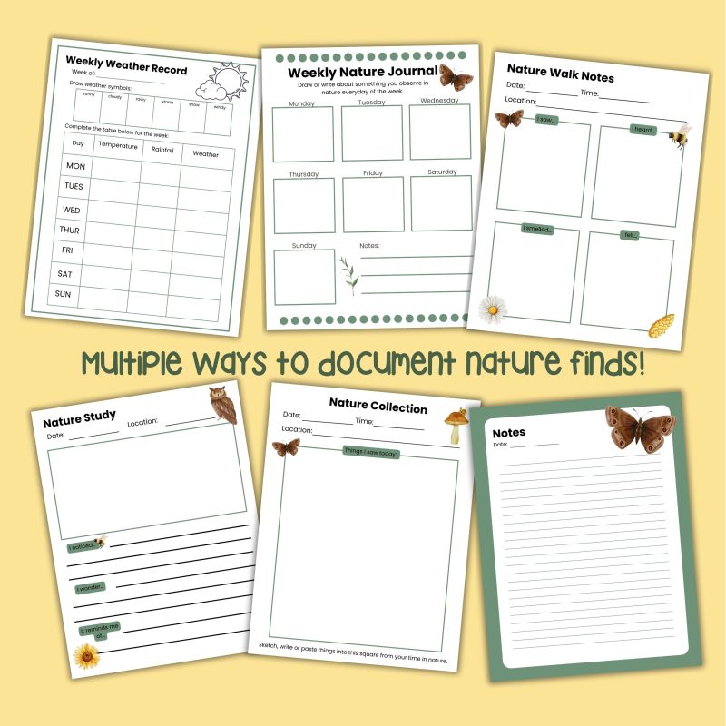 Printable Nature Journal For Kids Charlotte Mason Inspired - Image 4
