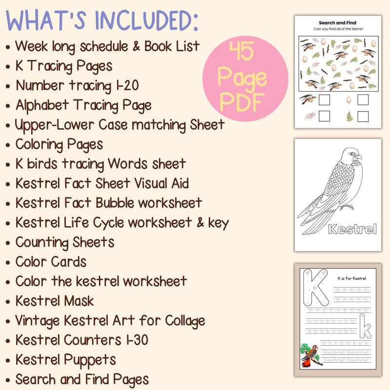 K is for Kestrel Preschool Activity Bundle - Image 4