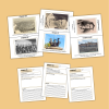 Our Island Story Workbook Complete An Island Story Worksheet Book Companion Visual Aids Study Guide - Image 4