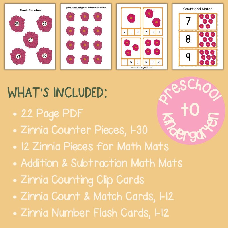 Zinnia Math Activity Pack Preschool to Kindergarten Counting Practice - Image 4