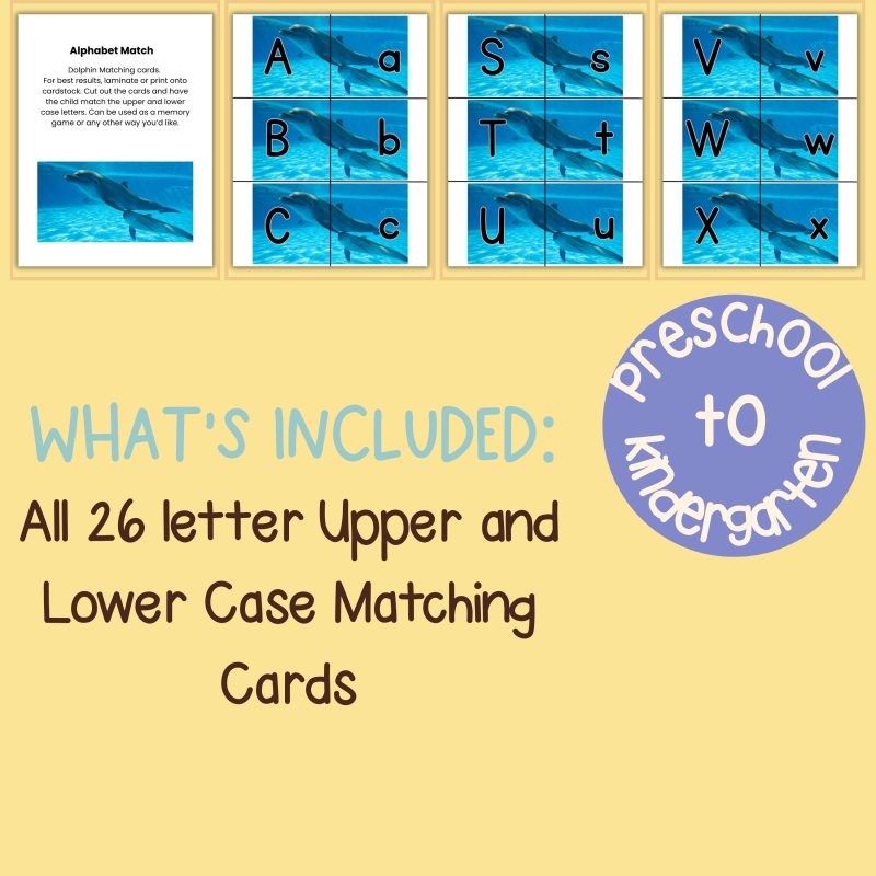 Dolphin Alphabet Matching Game Upper and Lower Case Letter Cards - Image 4
