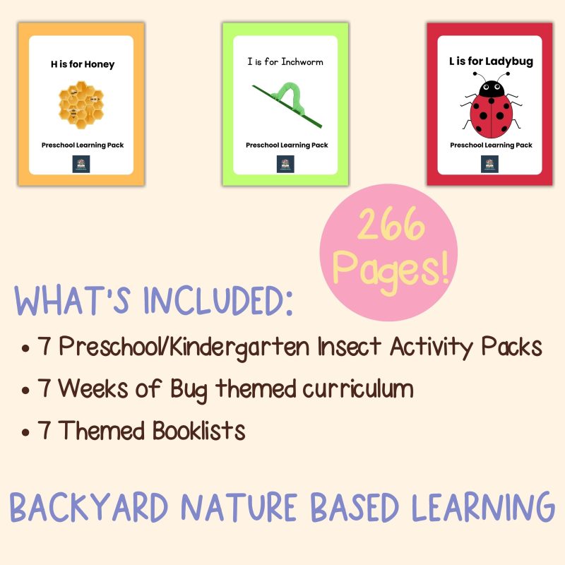 Preschool Bug Bundle Pre-K Learning Pack 7 Week Lessons - Image 4