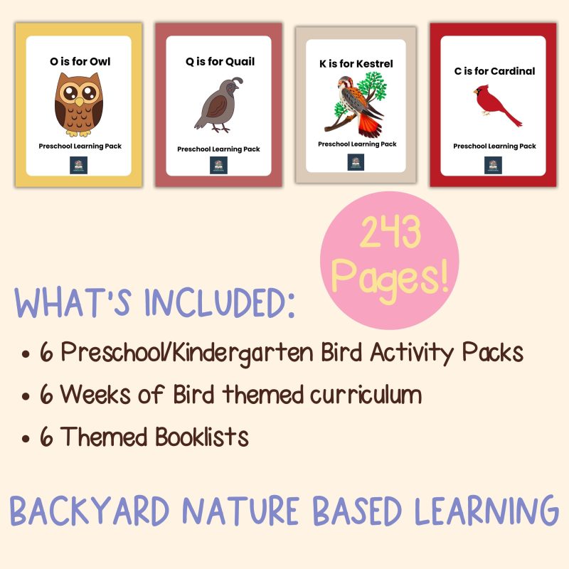 Preschool Bird Bundle Pre-K Learning Pack 6 Week Lessons Kindergarten Worksheets - Image 4