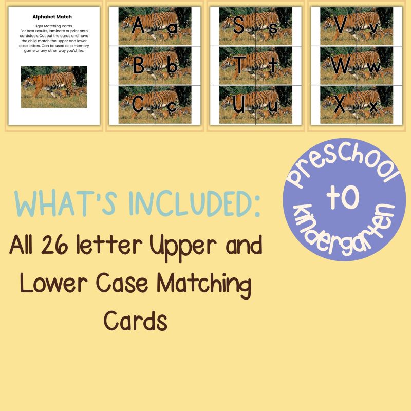 Tiger Alphabet Match Game Upper and Lower Case Letter Cards - Image 4