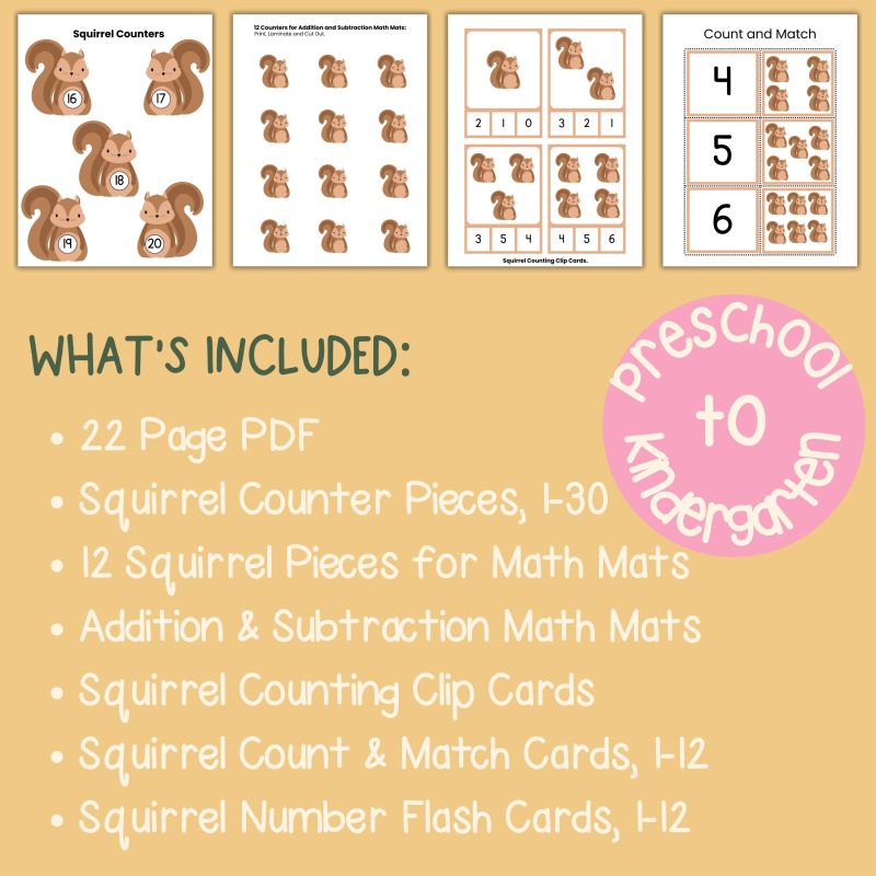 Squirrel Math Activity Bundle Preschool Kindergarten Math Manipulatives - Image 4