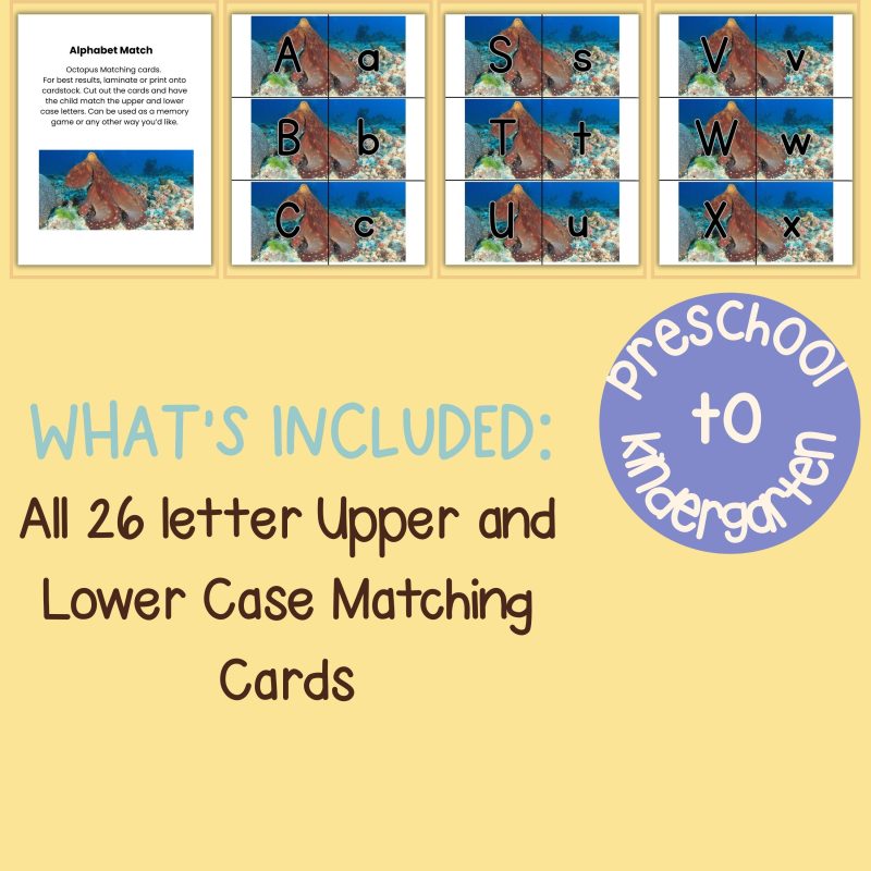 Octopus Alphabet Match Game Upper and Lower Case Letter Cards - Image 4