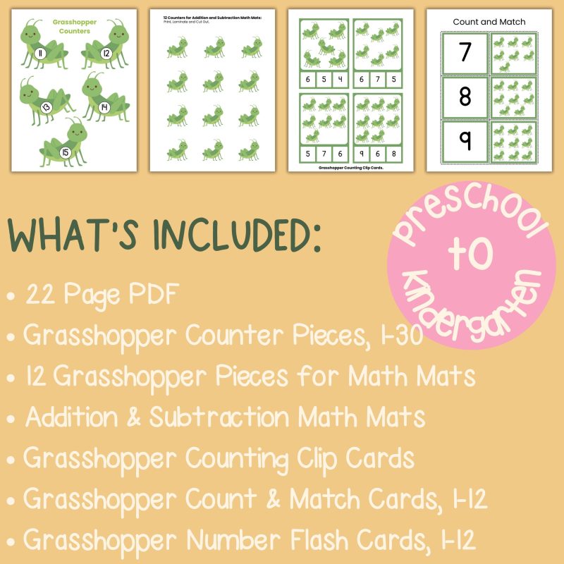 Grasshopper Math Activity Bundle Preschool Kindergarten Math Manipulatives - Image 4