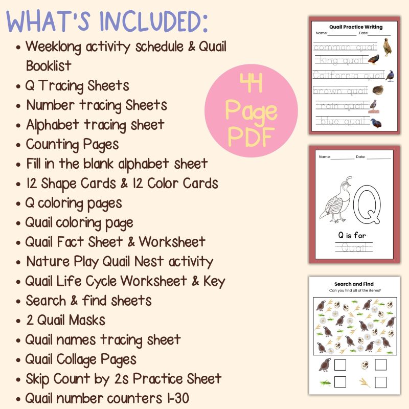 Q is for Quail Preschool Activity Bundle Learning Pack Preschool- Kindergarten Worksheets - Image 4