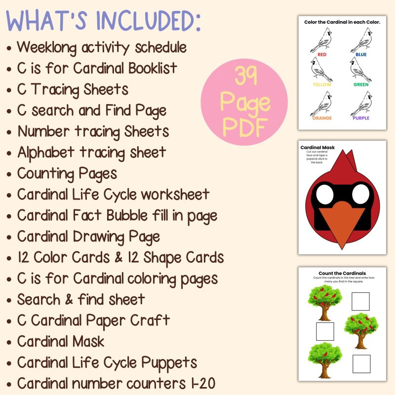 C is for Cardinal Preschool Worksheets Pre K Kindergarten Activity Sheets Bird Life Cycle - Image 4