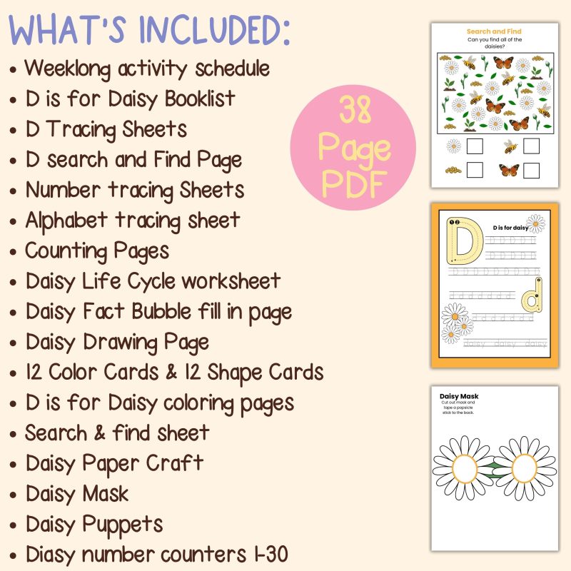 D is for Daisy Preschool Learning Pack Garden Flowers - Image 4