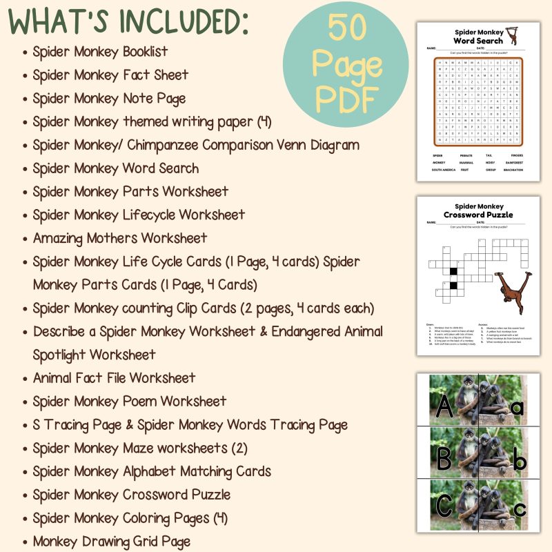 Spider Monkey Nature Study Family Unit Worksheets Activities and Note Pages - Image 4
