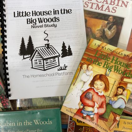 Little House in the Big Woods Novel Study