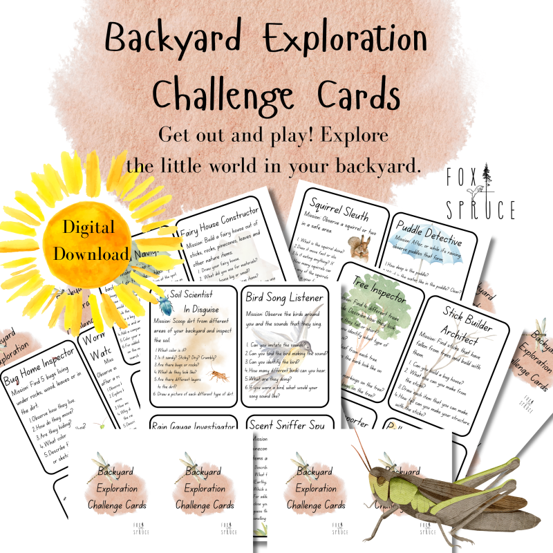 Backyard Exploration Challenge Cards l Games for playing outside