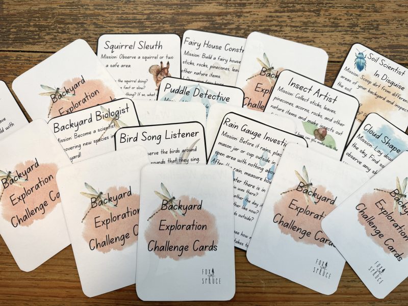 Backyard Exploration Challenge Cards l Games for playing outside - Image 4