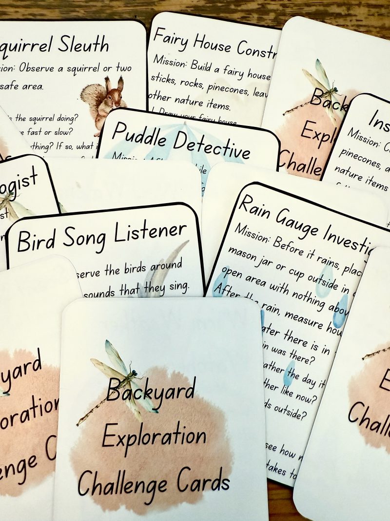 Backyard Exploration Challenge Cards l Games for playing outside - Image 3