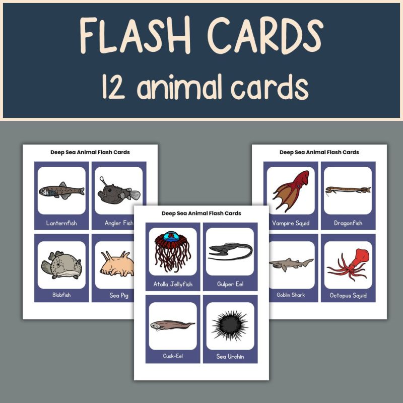 Deep Sea Animal Nature Study Family Unit Homeschool Science - Image 2