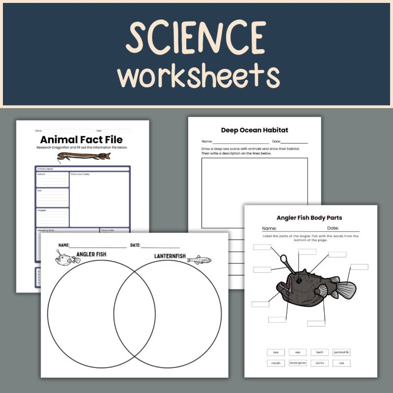 Deep Sea Animal Nature Study Family Unit Homeschool Science - Image 4