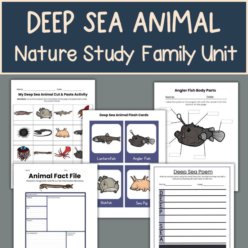 Deep Sea Animal Nature Study Family Unit Homeschool Science