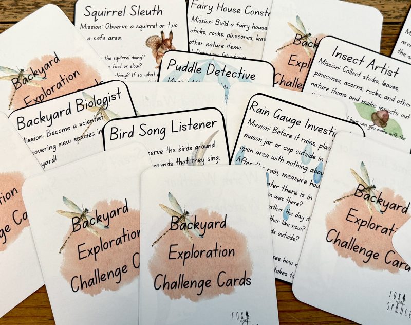 Backyard Exploration Challenge Cards l Games for playing outside - Image 5