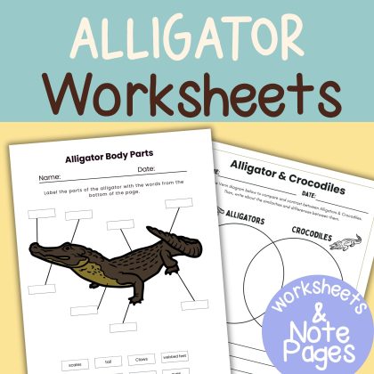 Alligator Nature Study Family Unit Worksheets Activities and Note Pages