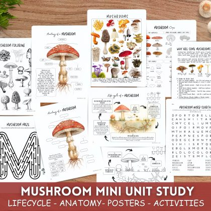 Mushroom Mini unit, Fungi learning pack, Fall Homeschool printable