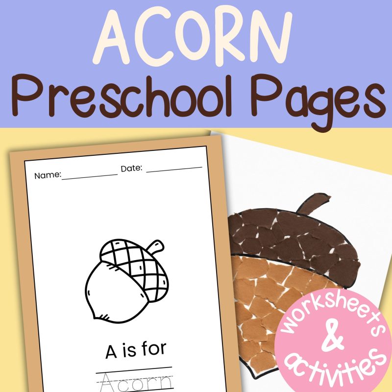 A is for Acorn Preschool Pack Acorn Worksheets and Activities Pre K and Kindergarten