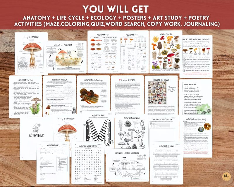 Mushroom Mini unit, Fungi learning pack, Fall Homeschool printable - Image 2