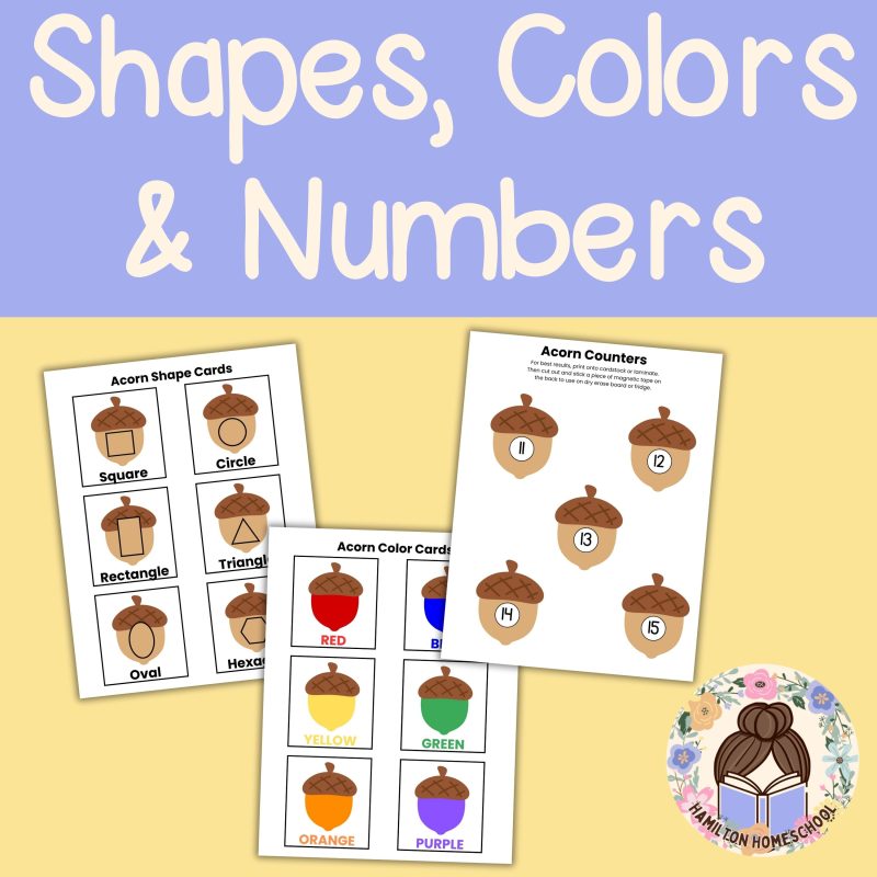 A is for Acorn Preschool Pack Acorn Worksheets and Activities Pre K and Kindergarten - Image 2