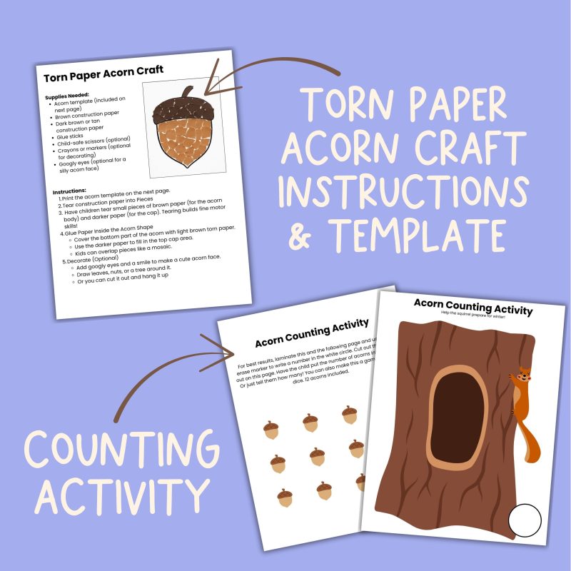 A is for Acorn Preschool Pack Acorn Worksheets and Activities Pre K and Kindergarten - Image 3