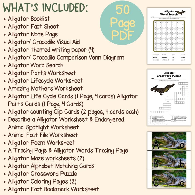 Alligator Nature Study Family Unit Worksheets Activities and Note Pages - Image 4